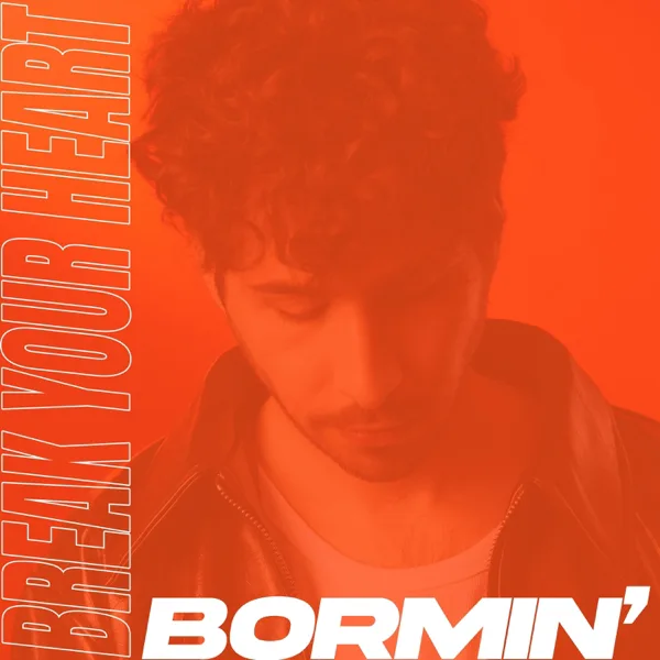 Cover art for Break Your Heart — Bormin'