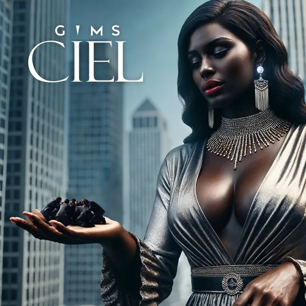 Cover art for CIEL — GIMS